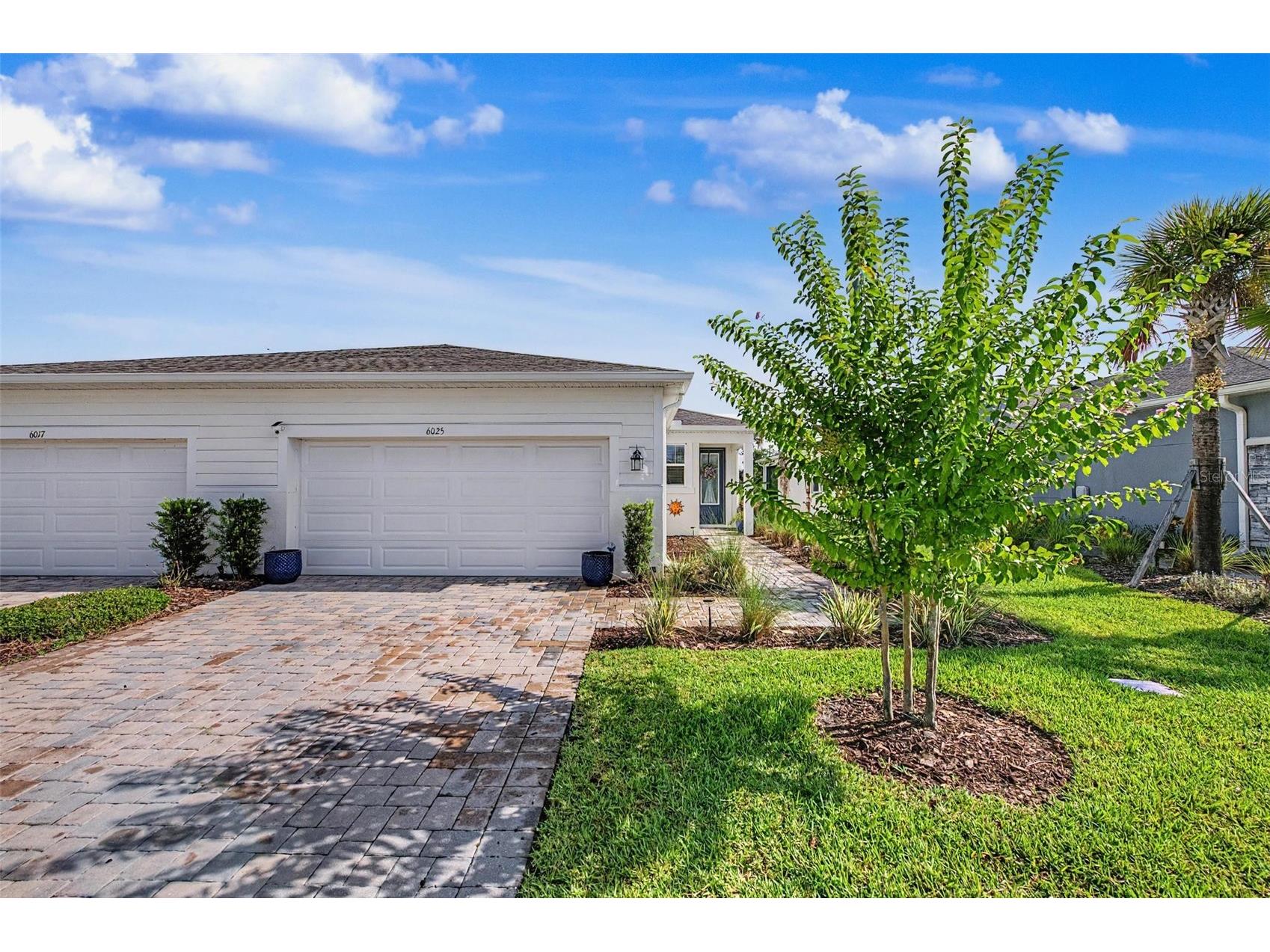 6025 Timberdale Avenue Wesley Chapel FL 33545 TB8526201 image1