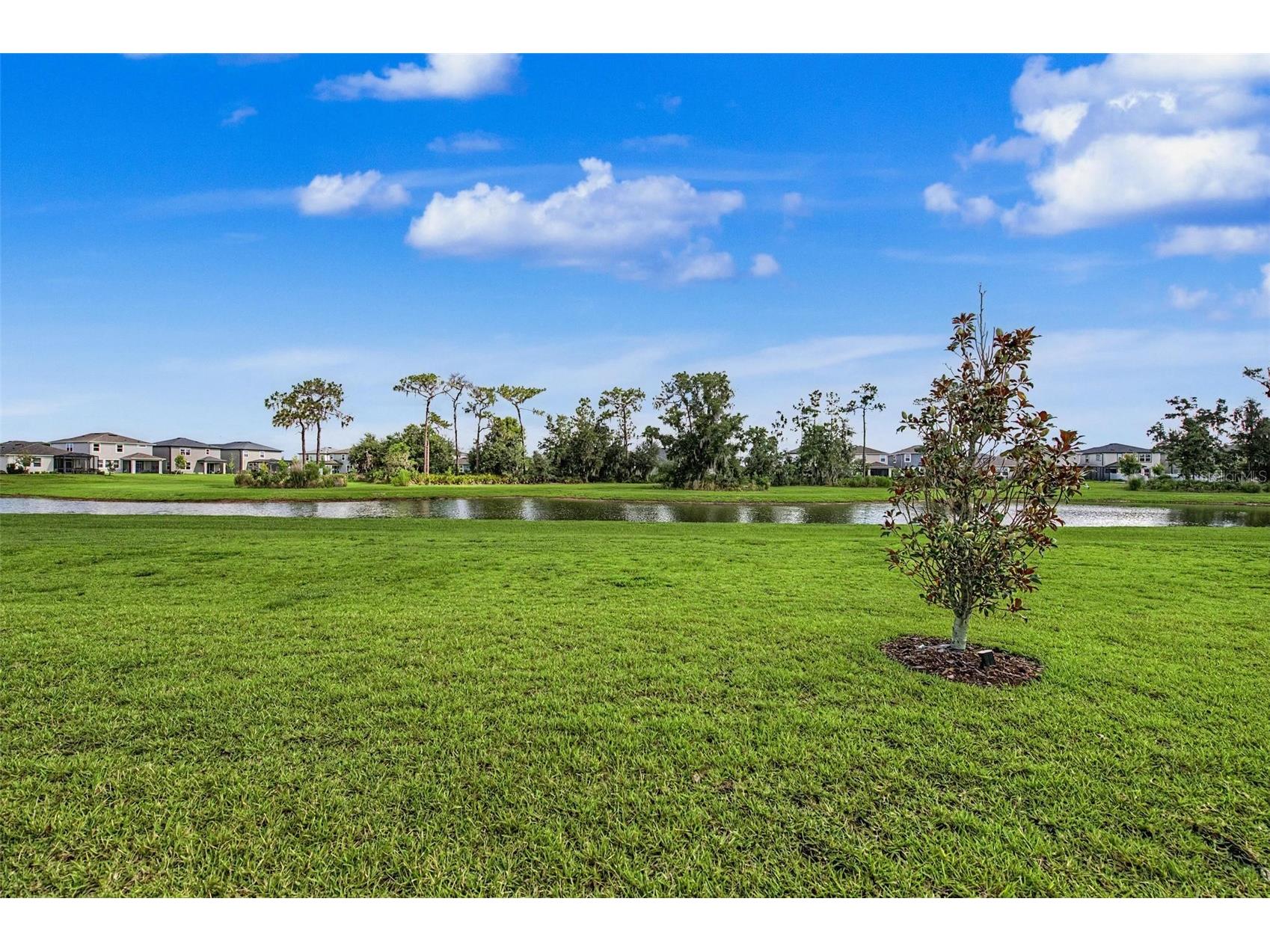 6025 Timberdale Avenue Wesley Chapel FL 33545 TB8526201 image28