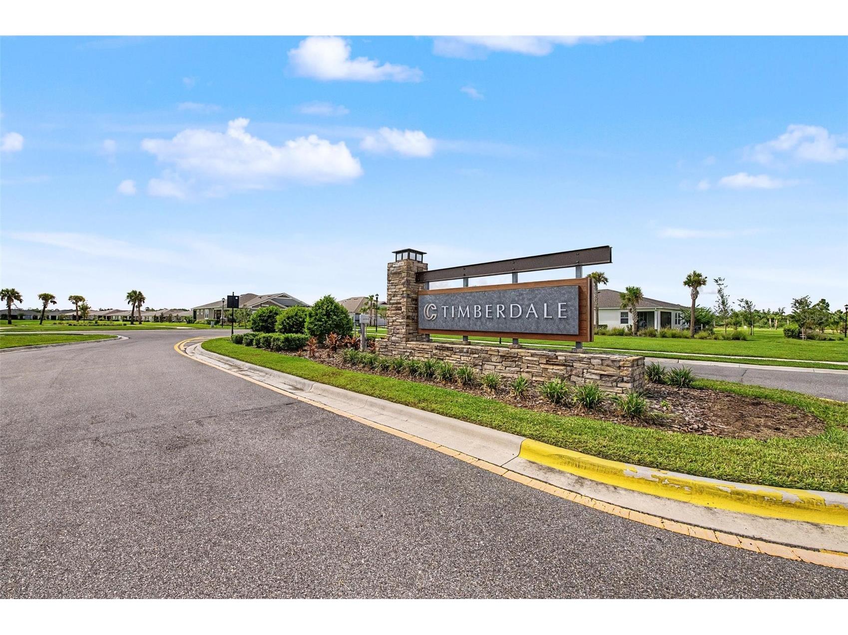 6025 Timberdale Avenue Wesley Chapel FL 33545 TB8526201 image32