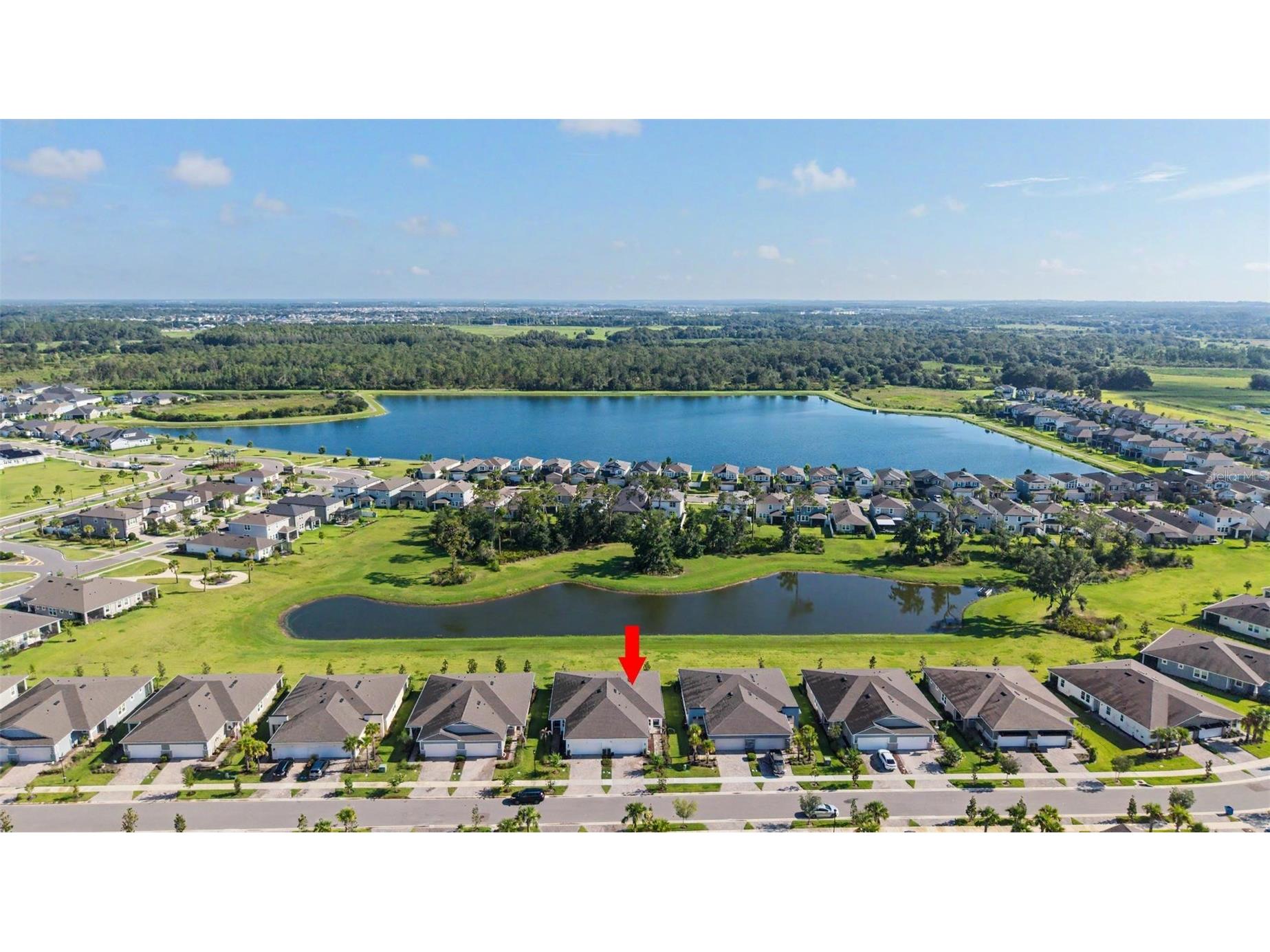 6025 Timberdale Avenue Wesley Chapel FL 33545 TB8526201 image34