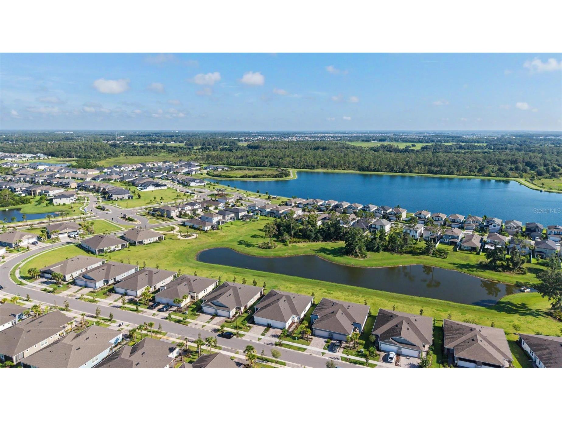 6025 Timberdale Avenue Wesley Chapel FL 33545 TB8526201 image39