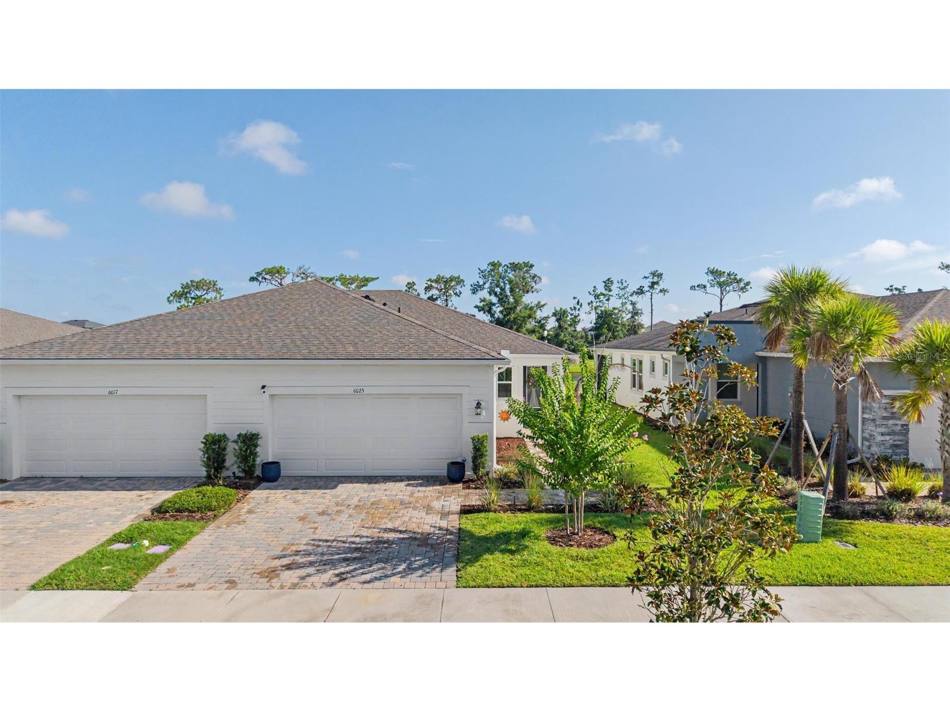 6025 Timberdale Avenue Wesley Chapel FL 33545 TB8526201 image4