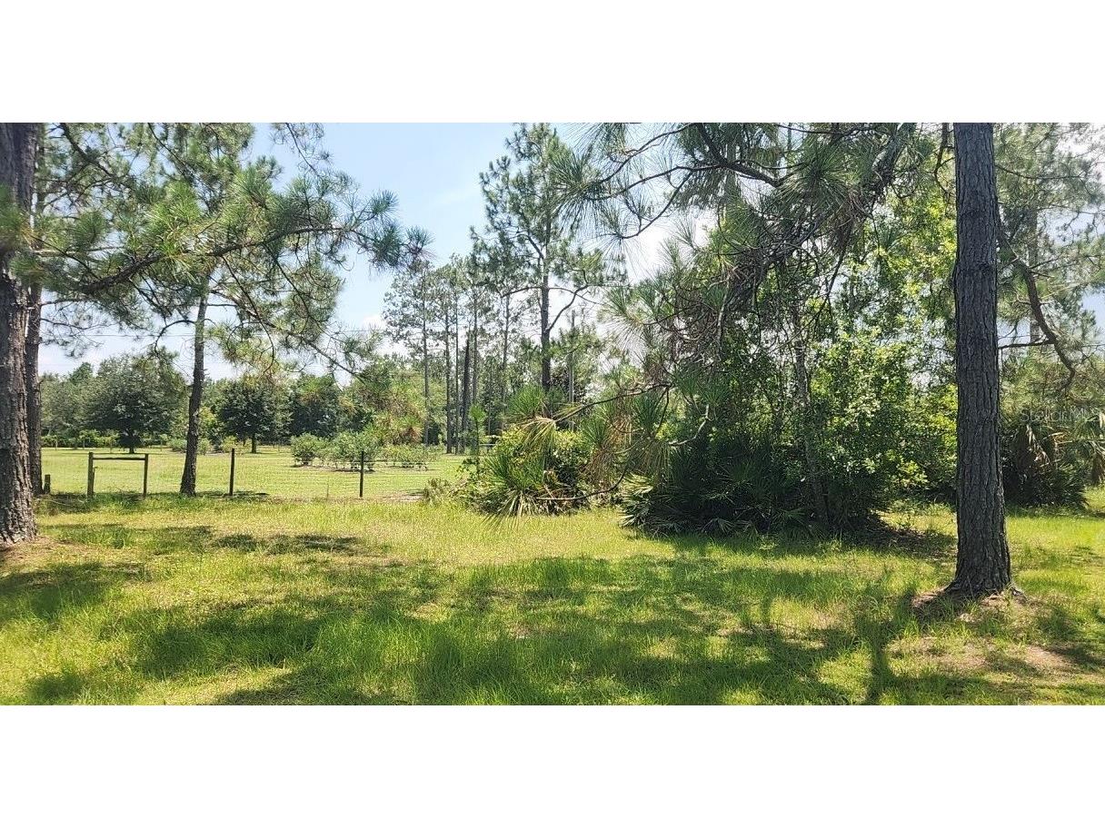 6025 Winning Wood Trail De Leon Springs FL 32130 O6155324 image1