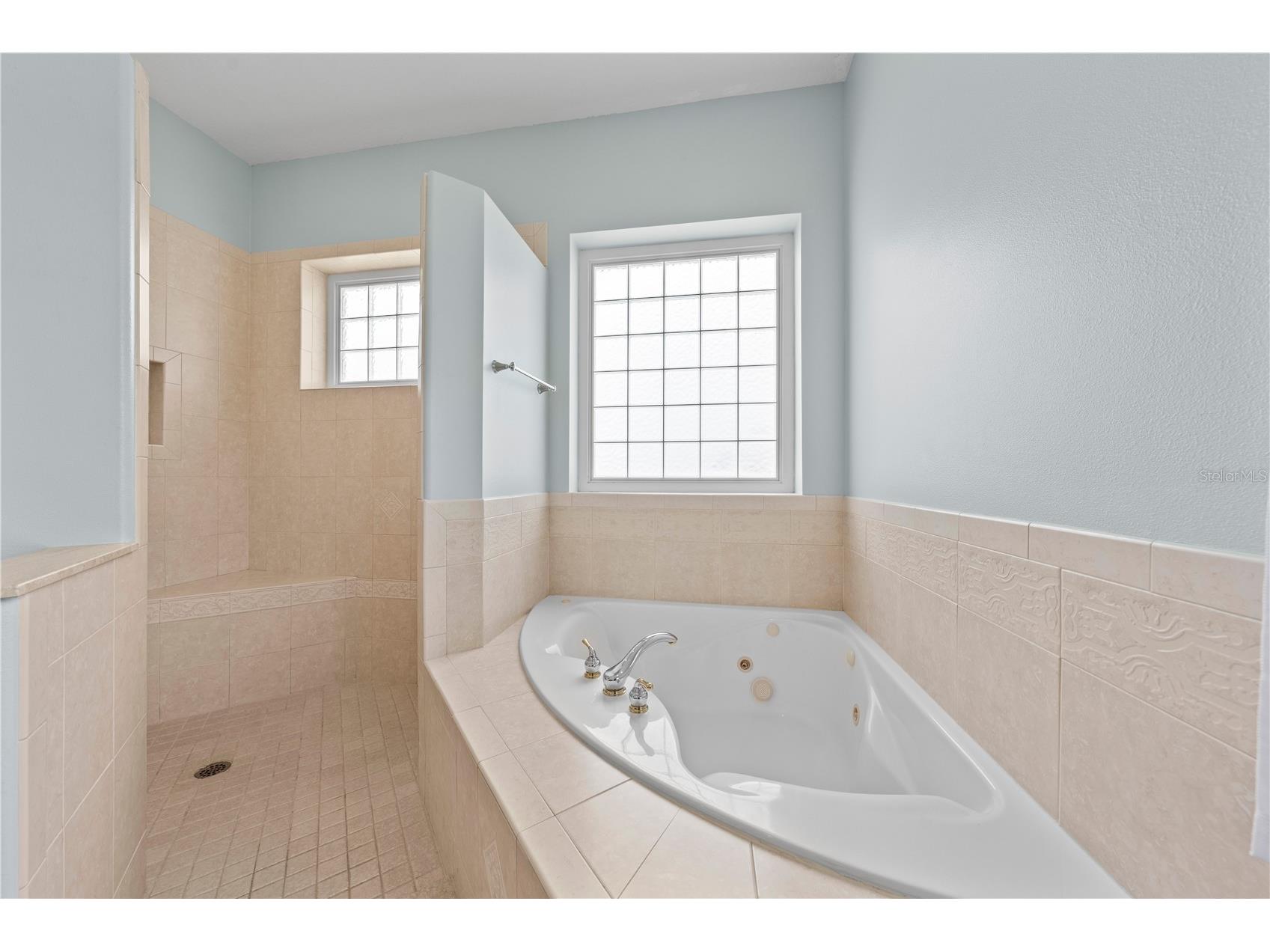 6027 Lake Lizzie Drive Saint Cloud FL 34771 - LAKE LIZZIE / ALLIGATOR CHAIN S5151214 image32