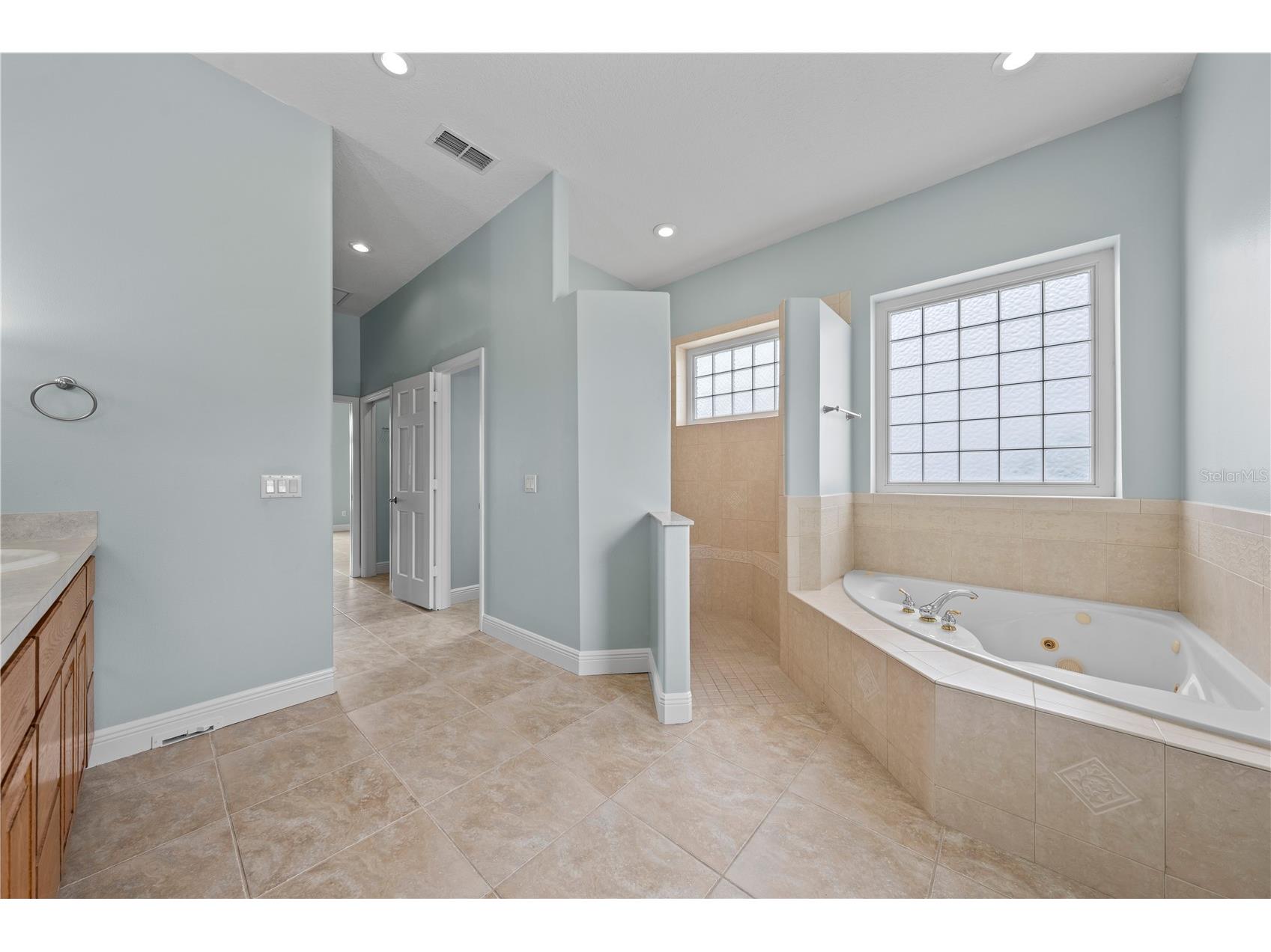 6027 Lake Lizzie Drive Saint Cloud FL 34771 - LAKE LIZZIE / ALLIGATOR CHAIN S5151214 image35