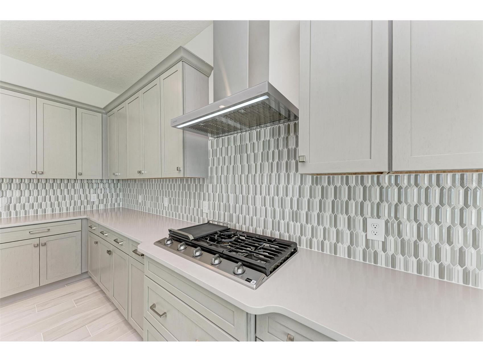 6028 Cat Claw Lane Bradenton FL 34210 A4688450 image13