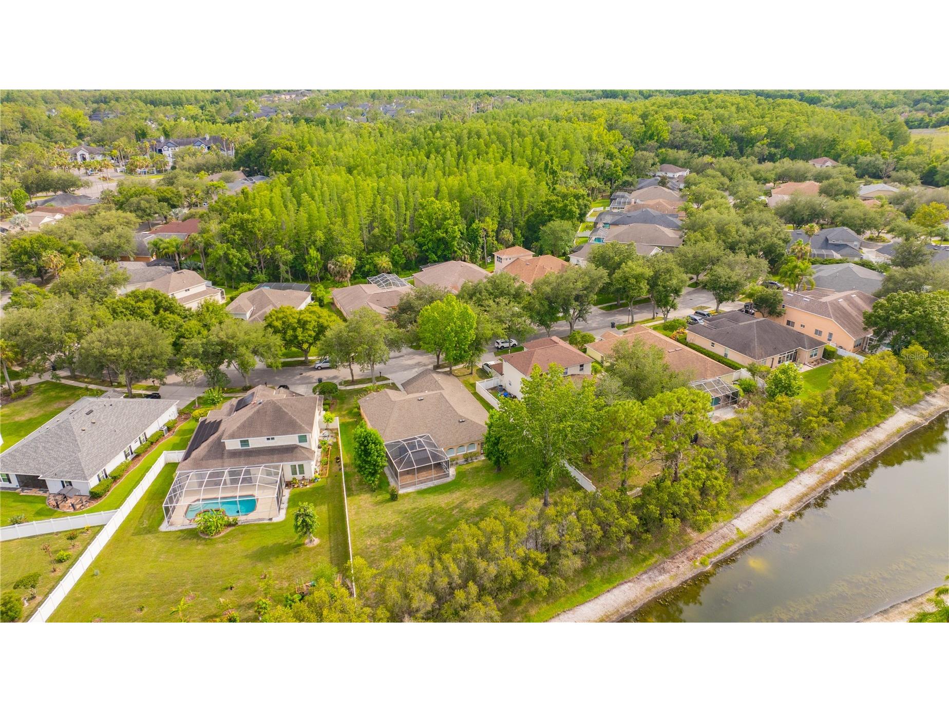 6028 Catlin Drive Tampa FL 33647 TB8517580 image4