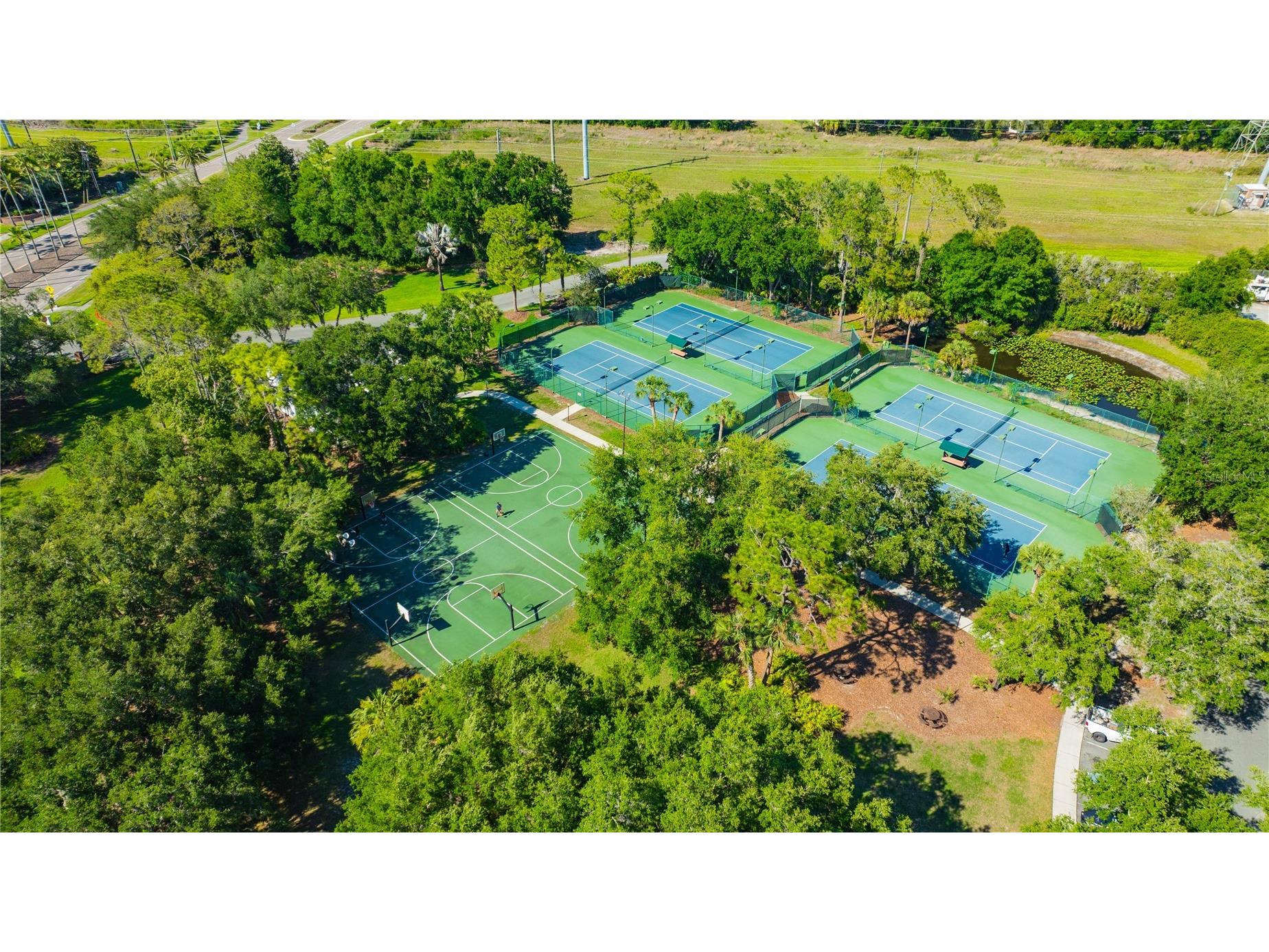 6028 Catlin Drive Tampa FL 33647 TB8517580 image75