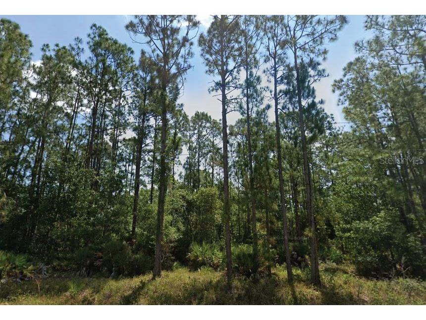 6028 Dian Avenue Sebring FL 33875 O6346516 image1