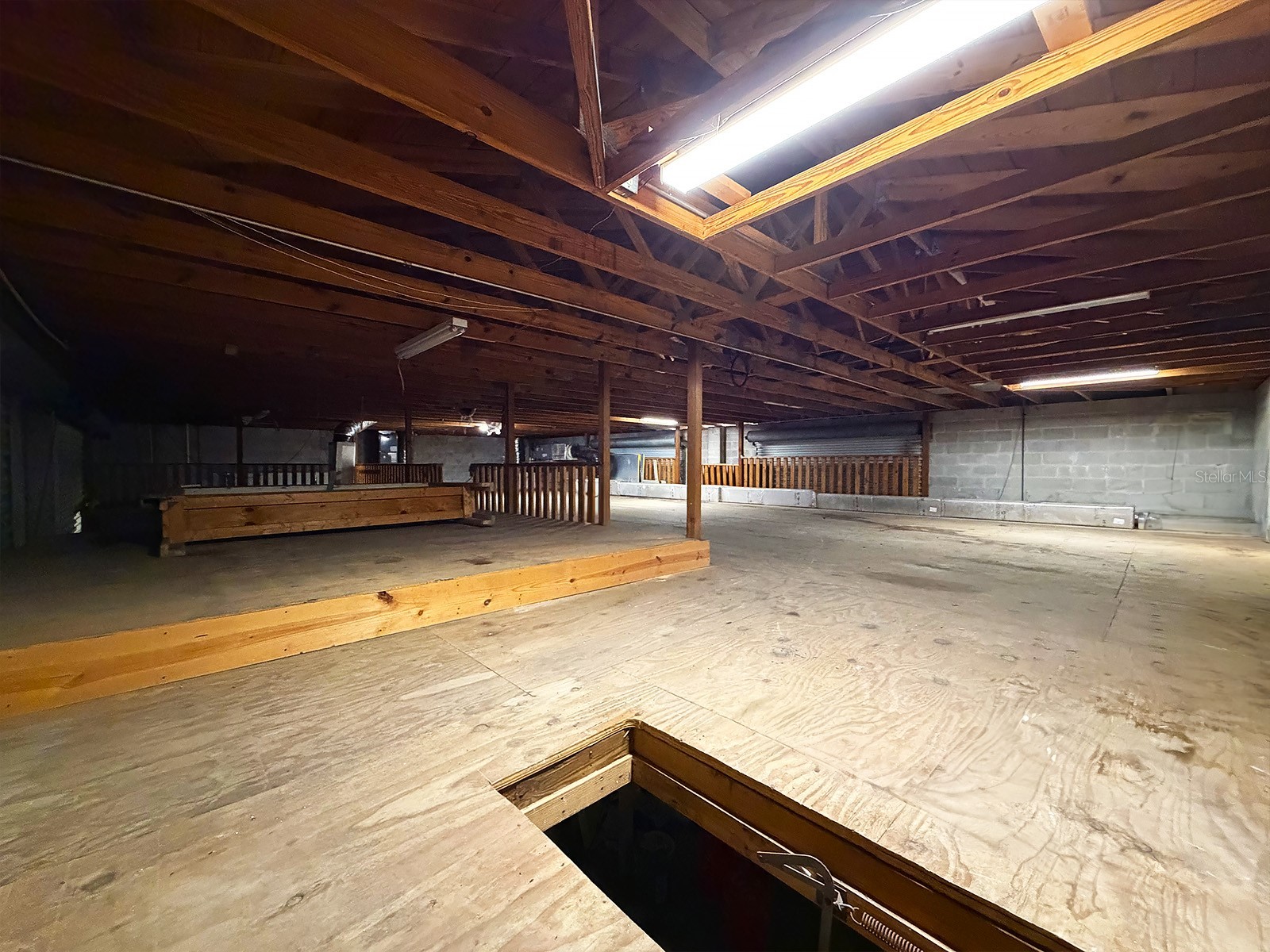 6028 Pine Hill Road Port Richey FL 34668 TB8449643 image16