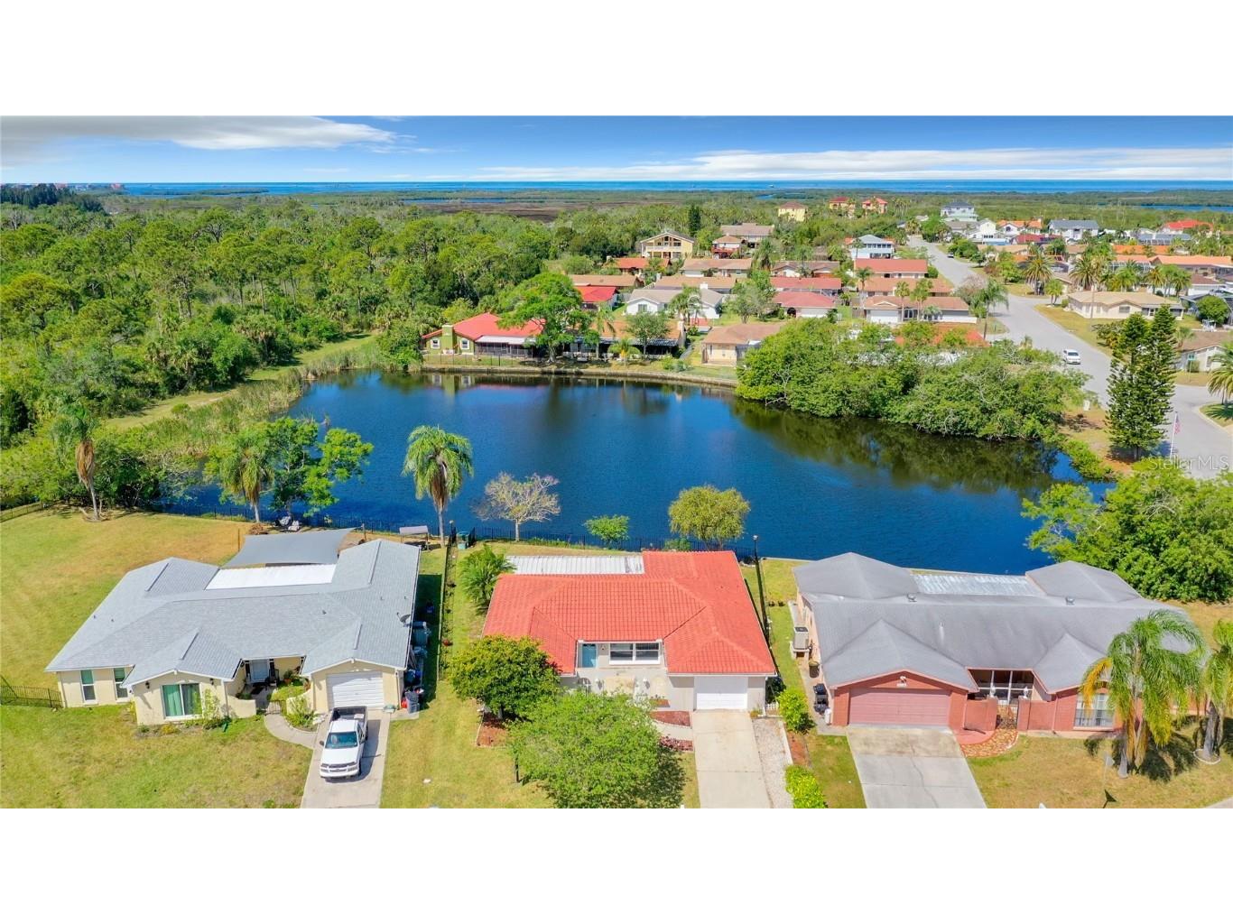 6028 Westport Drive Port Richey FL 34668 T3480888 image1