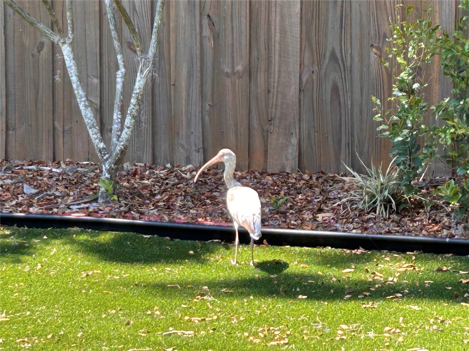 6029 Wyoming Avenue New Port Richey FL 34653 W7884552 image14