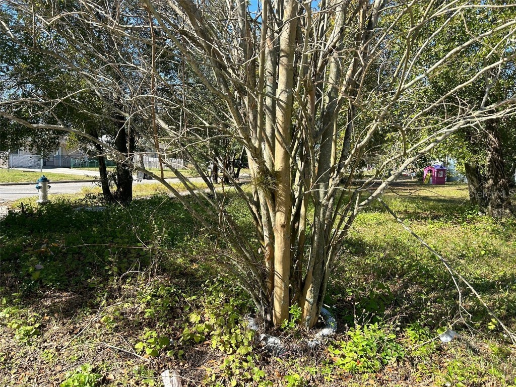 603 20th Street Orlando FL 32805 O6182408 image1