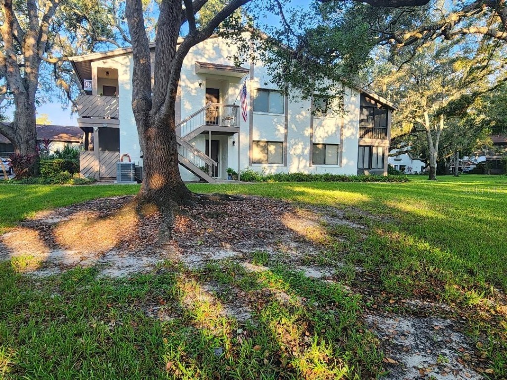 603 Baldwin Avenue #B Safety Harbor FL 34695 TB8424730 image19