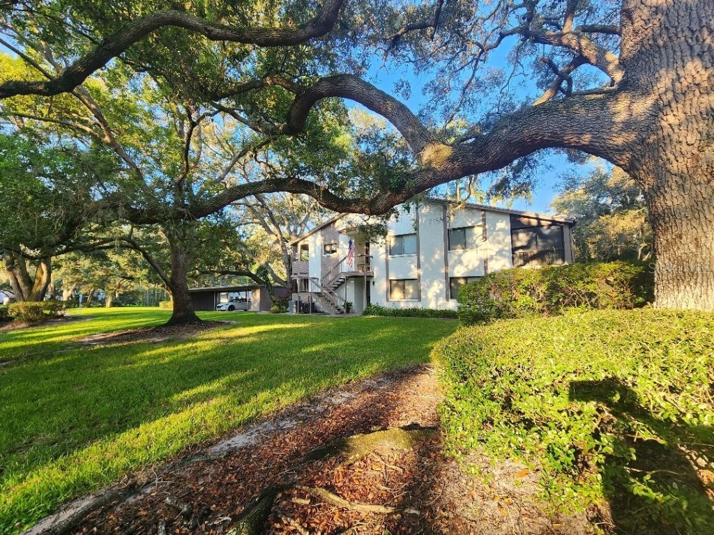 603 Baldwin Avenue #B Safety Harbor FL 34695 TB8424730 image20