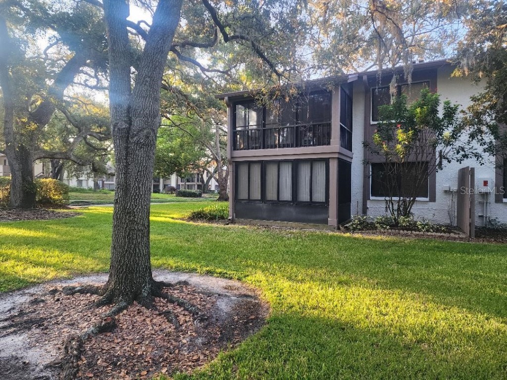 603 Baldwin Avenue #B Safety Harbor FL 34695 TB8424730 image21