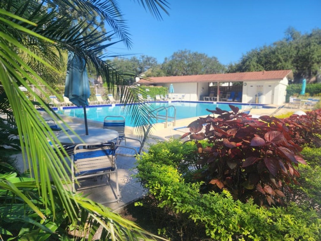 603 Baldwin Avenue #B Safety Harbor FL 34695 TB8424730 image23