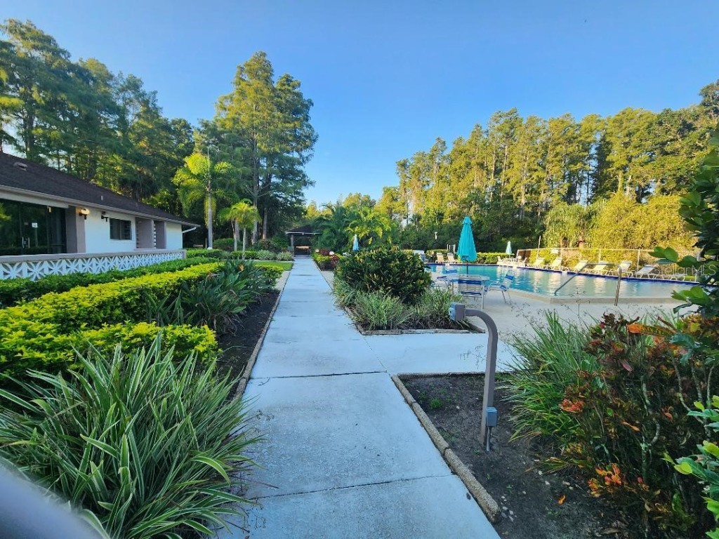 603 Baldwin Avenue #B Safety Harbor FL 34695 TB8424730 image25