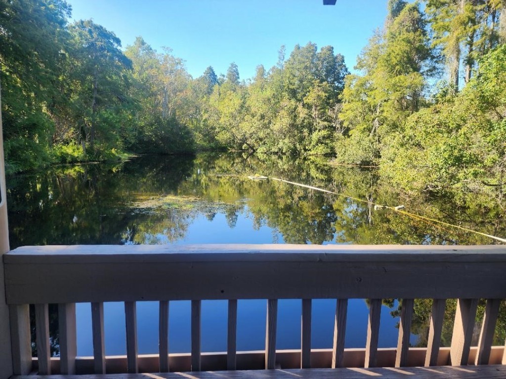 603 Baldwin Avenue #B Safety Harbor FL 34695 TB8424730 image26