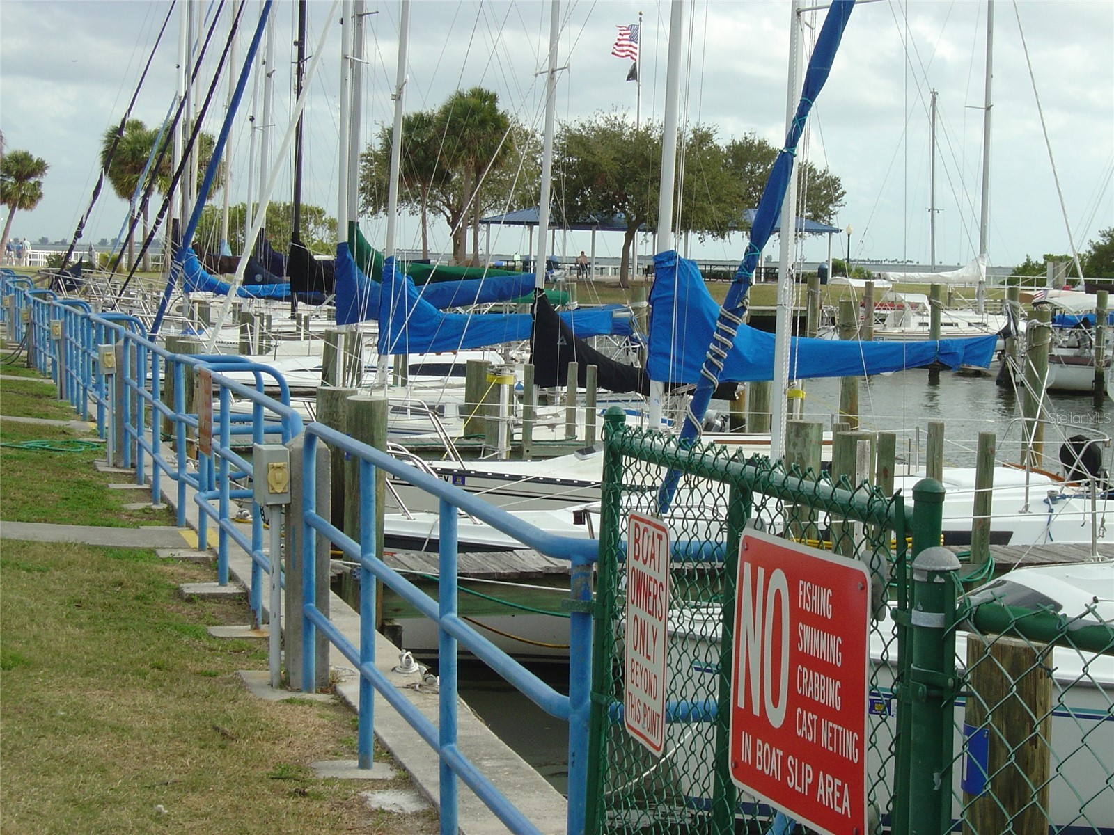 603 Baldwin Avenue #B Safety Harbor FL 34695 TB8424730 image29