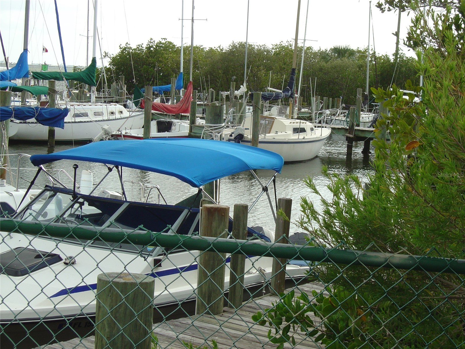 603 Baldwin Avenue #B Safety Harbor FL 34695 TB8424730 image30