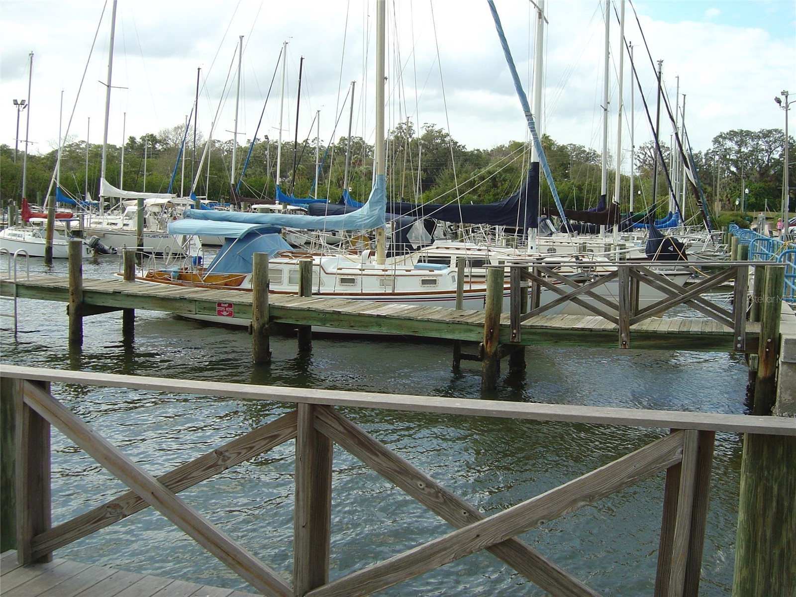 603 Baldwin Avenue #B Safety Harbor FL 34695 TB8424730 image31