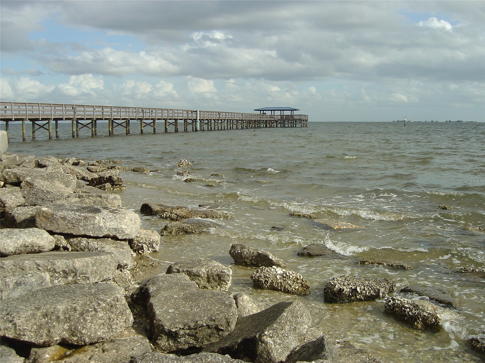 603 Baldwin Avenue #B Safety Harbor FL 34695 TB8424730 image32