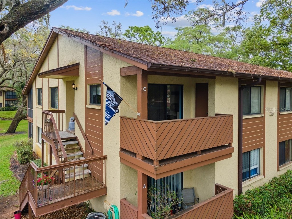 603 Baldwin Avenue #C Safety Harbor FL 34695 W7854147 image1