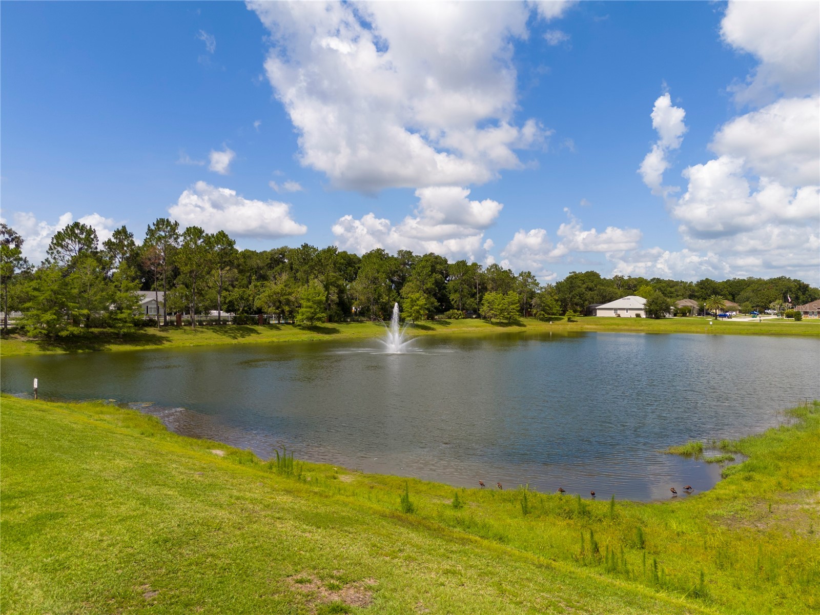 603 Brittle Fern Avenue Deland FL 32720 O6417112 image62