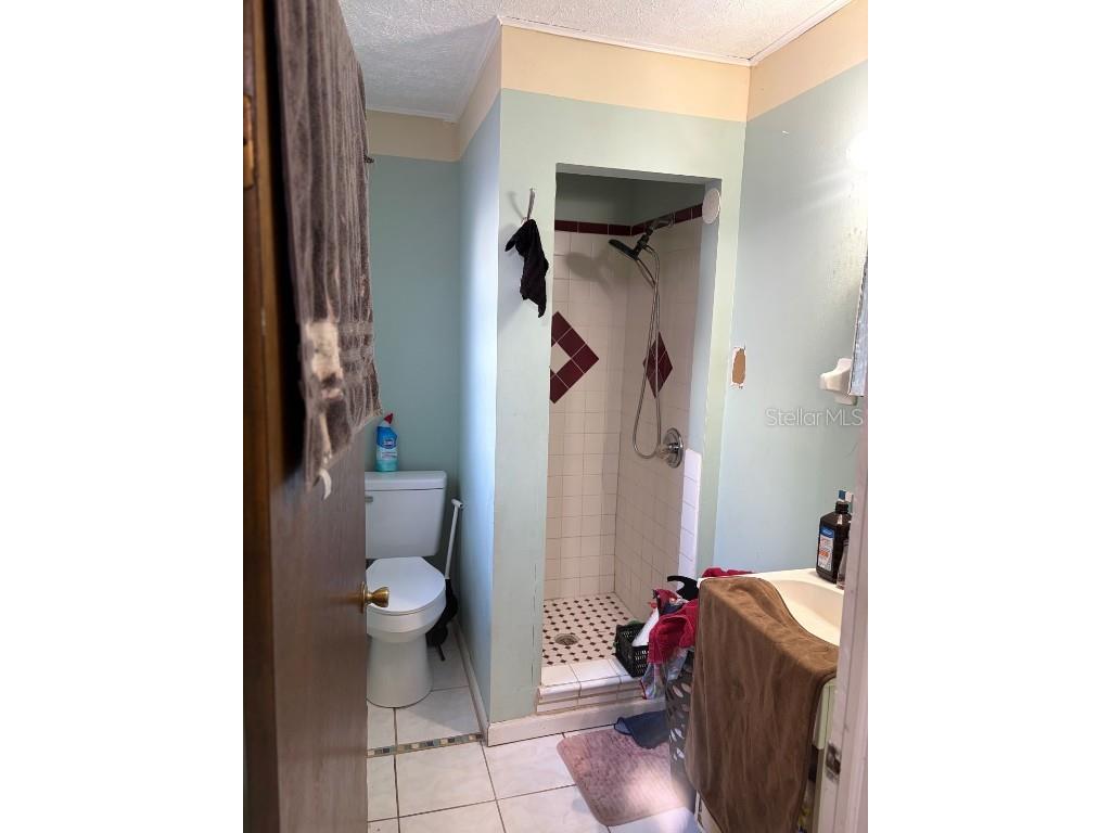 603 E Orange Avenue Eustis FL 32726 G5104433 image5