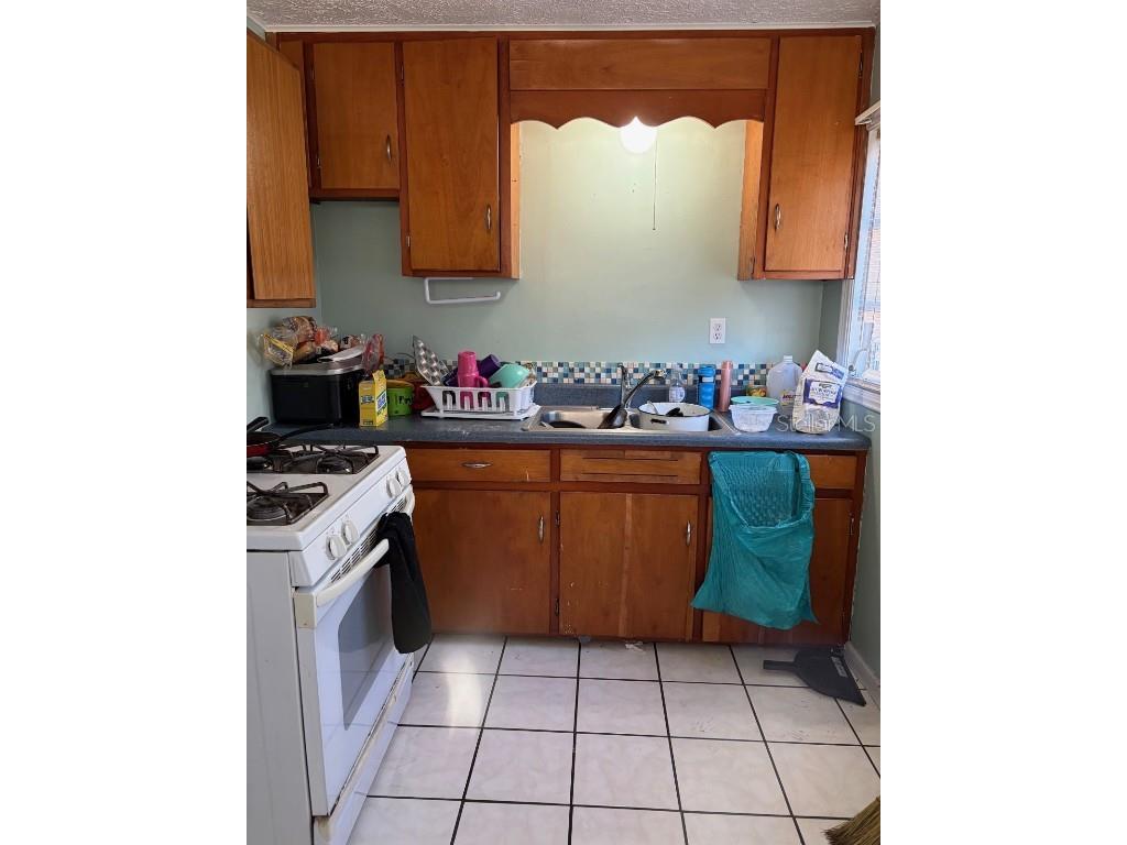 603 E Orange Avenue Eustis FL 32726 G5104433 image8
