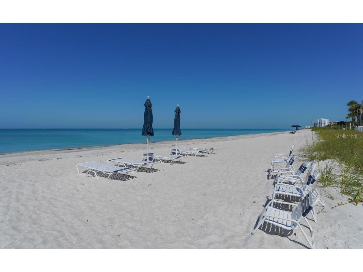 603 Longboat Club Road #402N Longboat Key FL 34228 A4670556 image33
