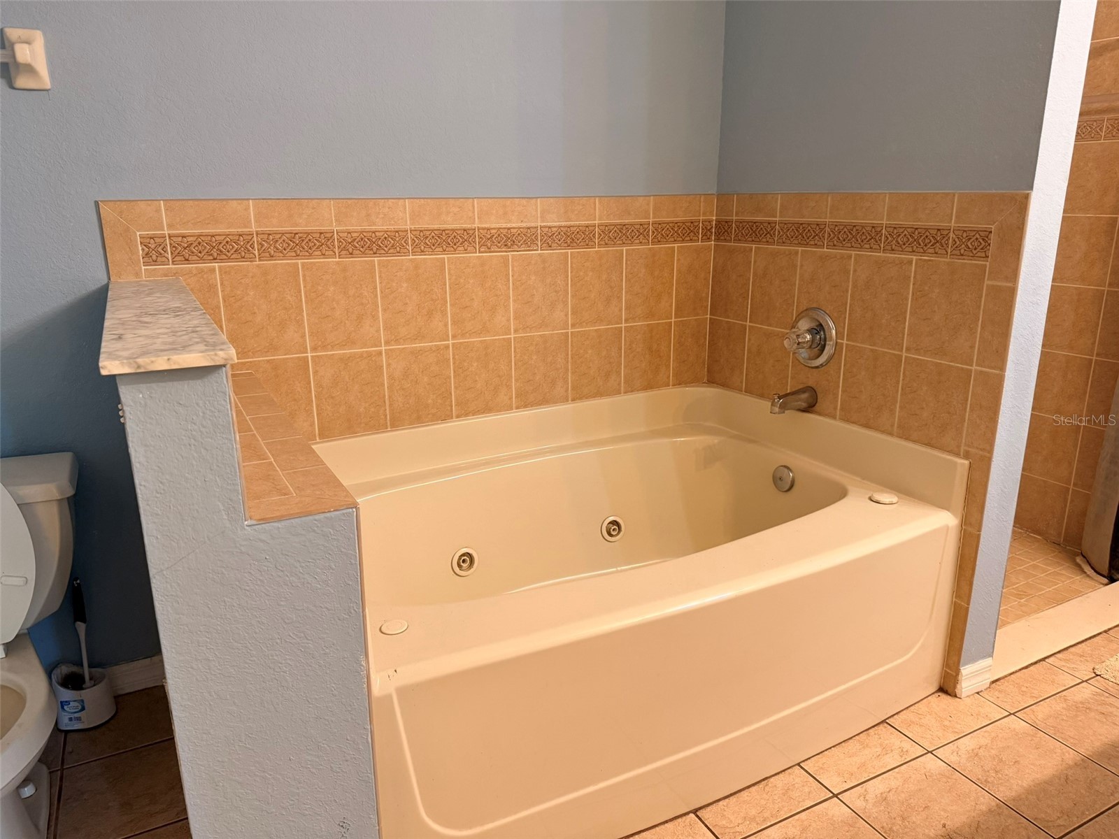 603 Marion Oaks Boulevard Ocala FL 34473 A4683260 image13