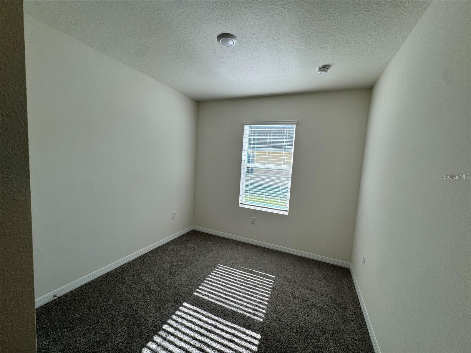 603 Muskrat Drive Kissimmee FL 34759 S5144565 image9