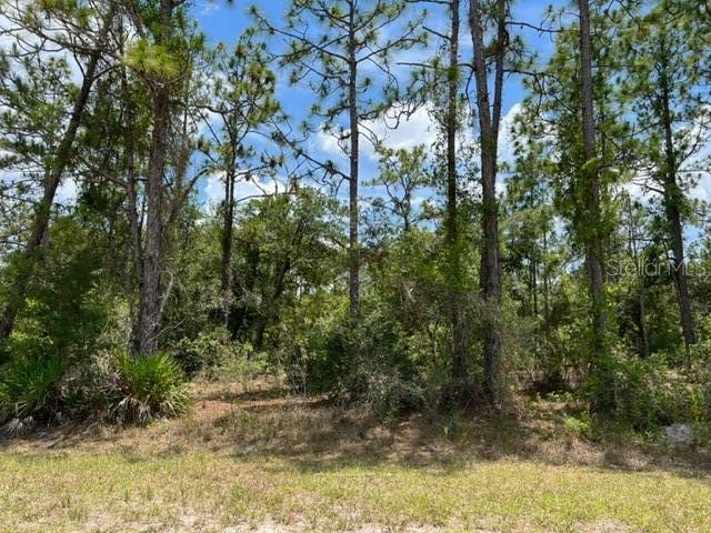 603 Orchid Drive Indian Lake Estates FL 33855 O6206644 image1