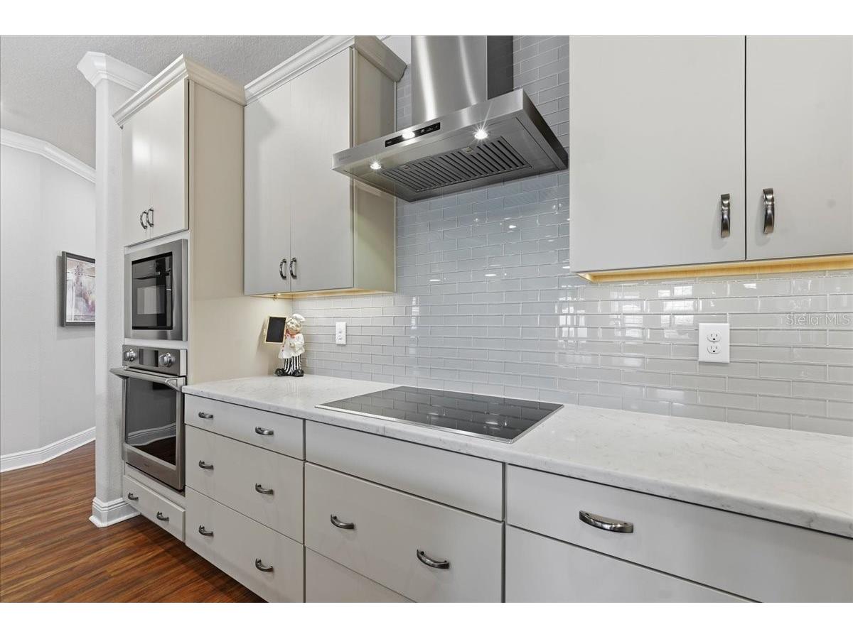 603 Ozona Village Drive Palm Harbor FL 34683 TB8496444 image17