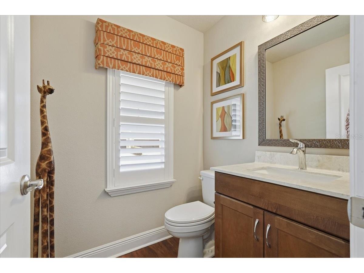 603 Ozona Village Drive Palm Harbor FL 34683 TB8496444 image33