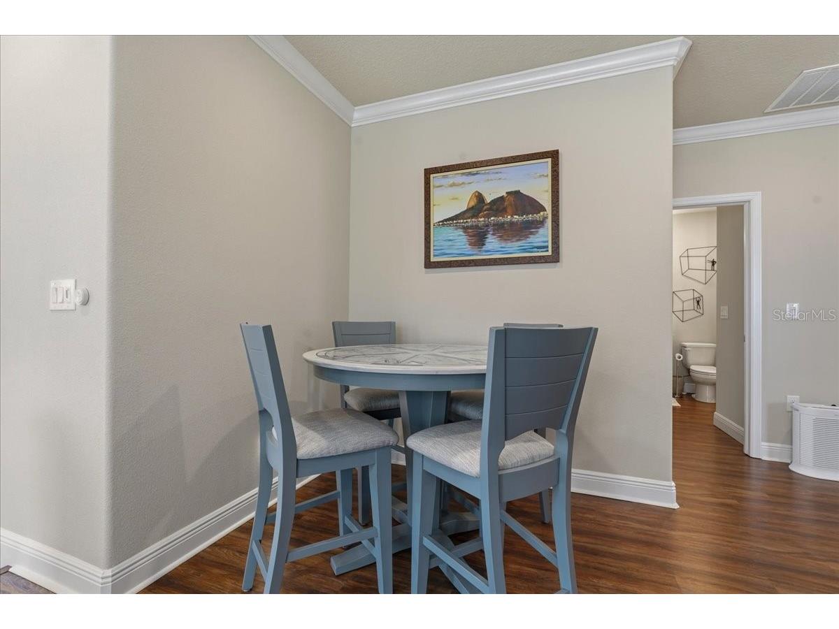 603 Ozona Village Drive Palm Harbor FL 34683 TB8496444 image35