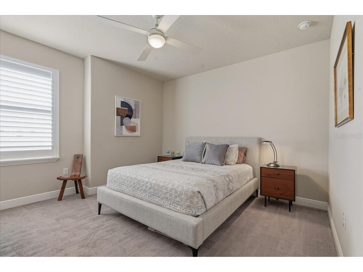 603 Ozona Village Drive Palm Harbor FL 34683 TB8496444 image37