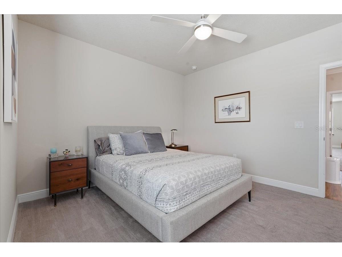 603 Ozona Village Drive Palm Harbor FL 34683 TB8496444 image38