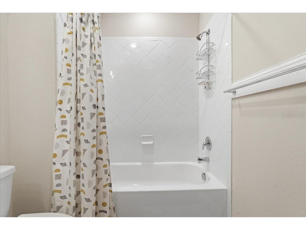 603 Ozona Village Drive Palm Harbor FL 34683 TB8496444 image42