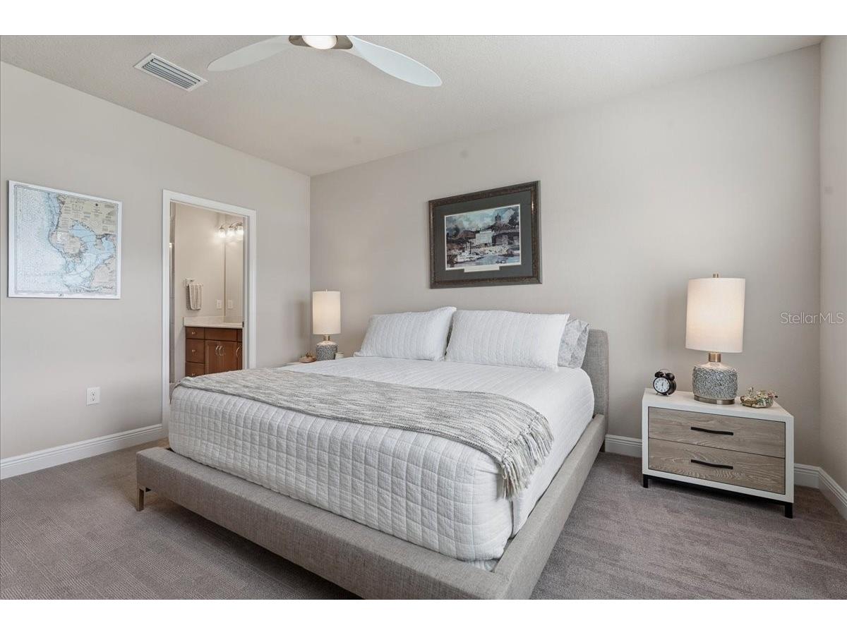 603 Ozona Village Drive Palm Harbor FL 34683 TB8496444 image44