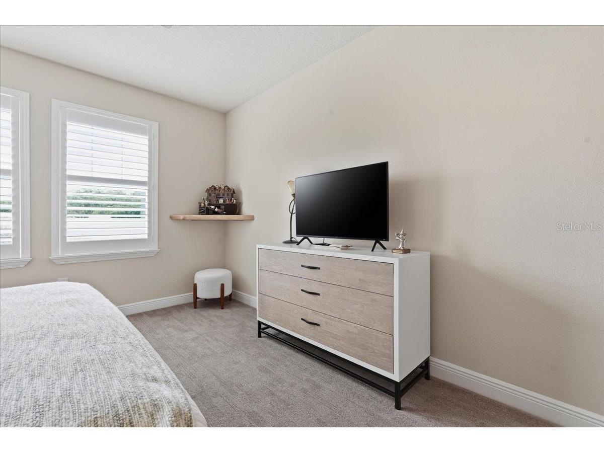 603 Ozona Village Drive Palm Harbor FL 34683 TB8496444 image45