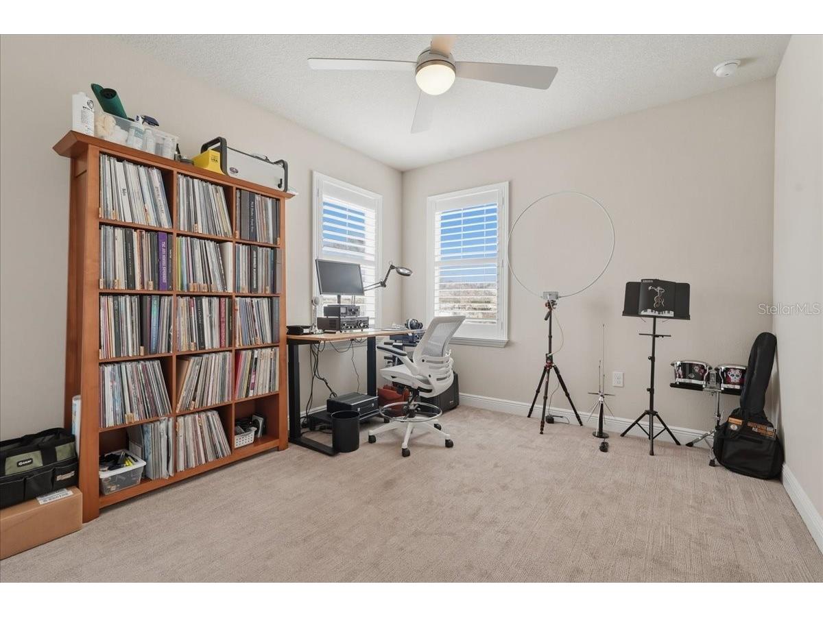 603 Ozona Village Drive Palm Harbor FL 34683 TB8496444 image49