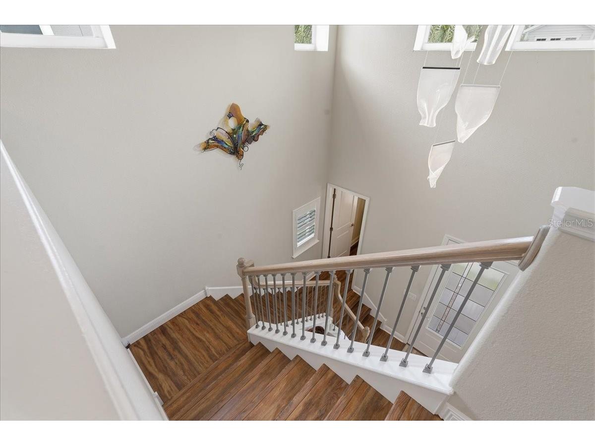 603 Ozona Village Drive Palm Harbor FL 34683 TB8496444 image50