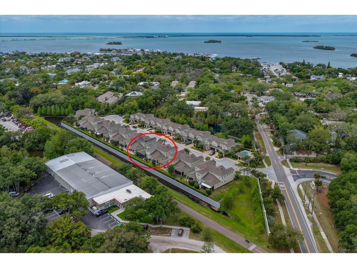 603 Ozona Village Drive Palm Harbor FL 34683 TB8496444 image63