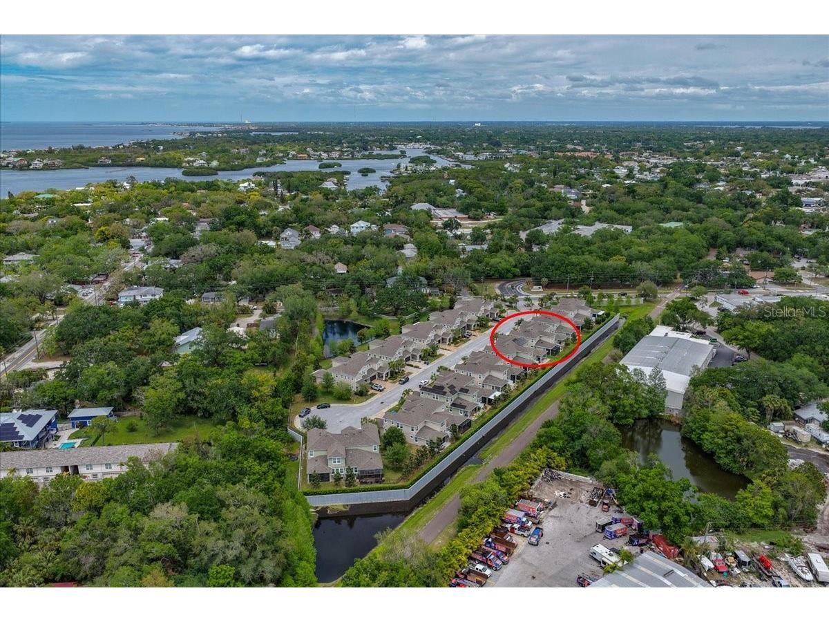 603 Ozona Village Drive Palm Harbor FL 34683 TB8496444 image64