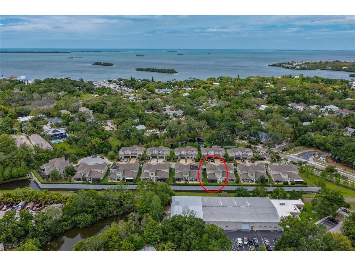 603 Ozona Village Drive Palm Harbor FL 34683 TB8496444 image65