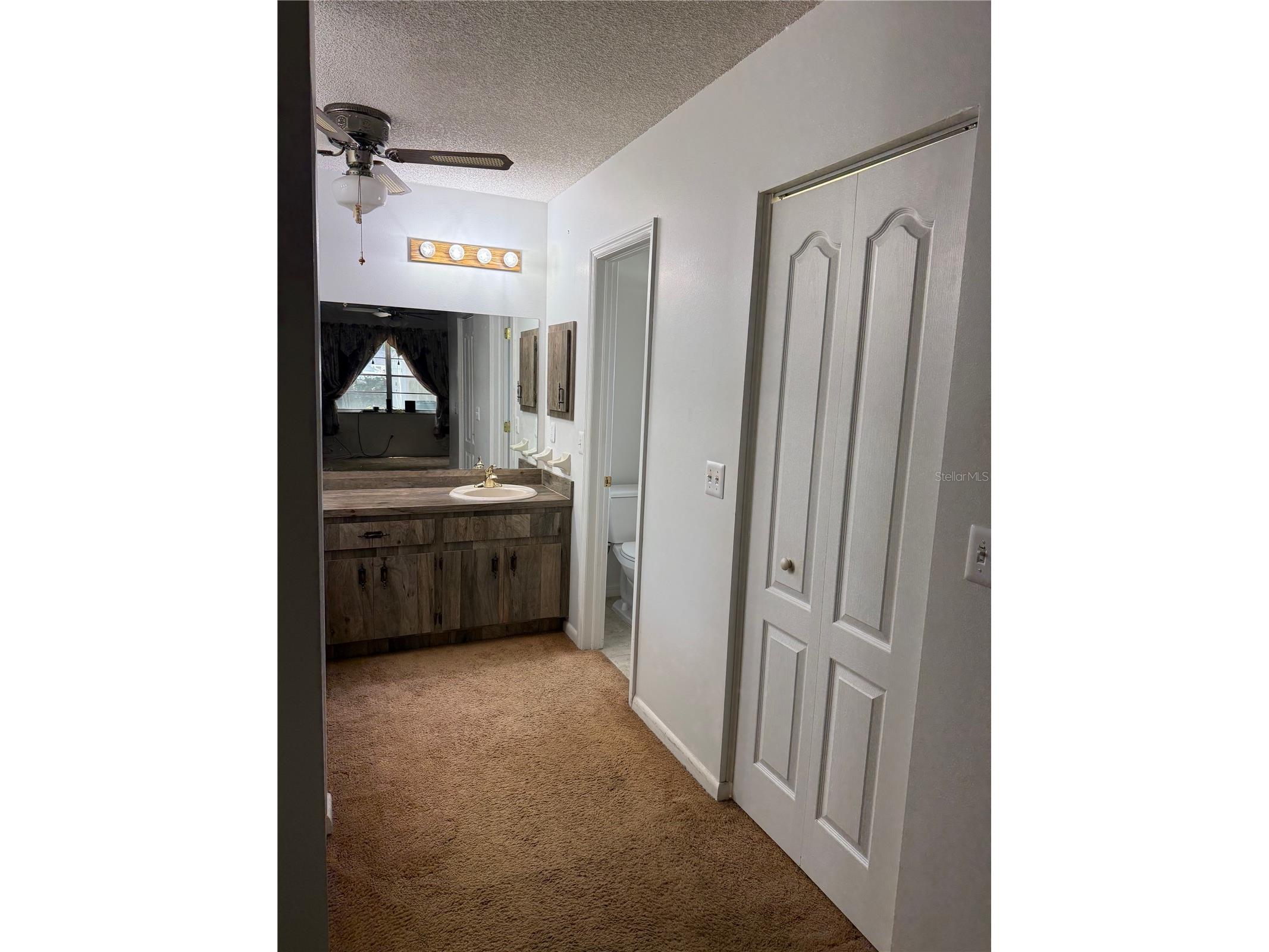 603 Royan Way Brandon FL 33511 TB8489744 image20