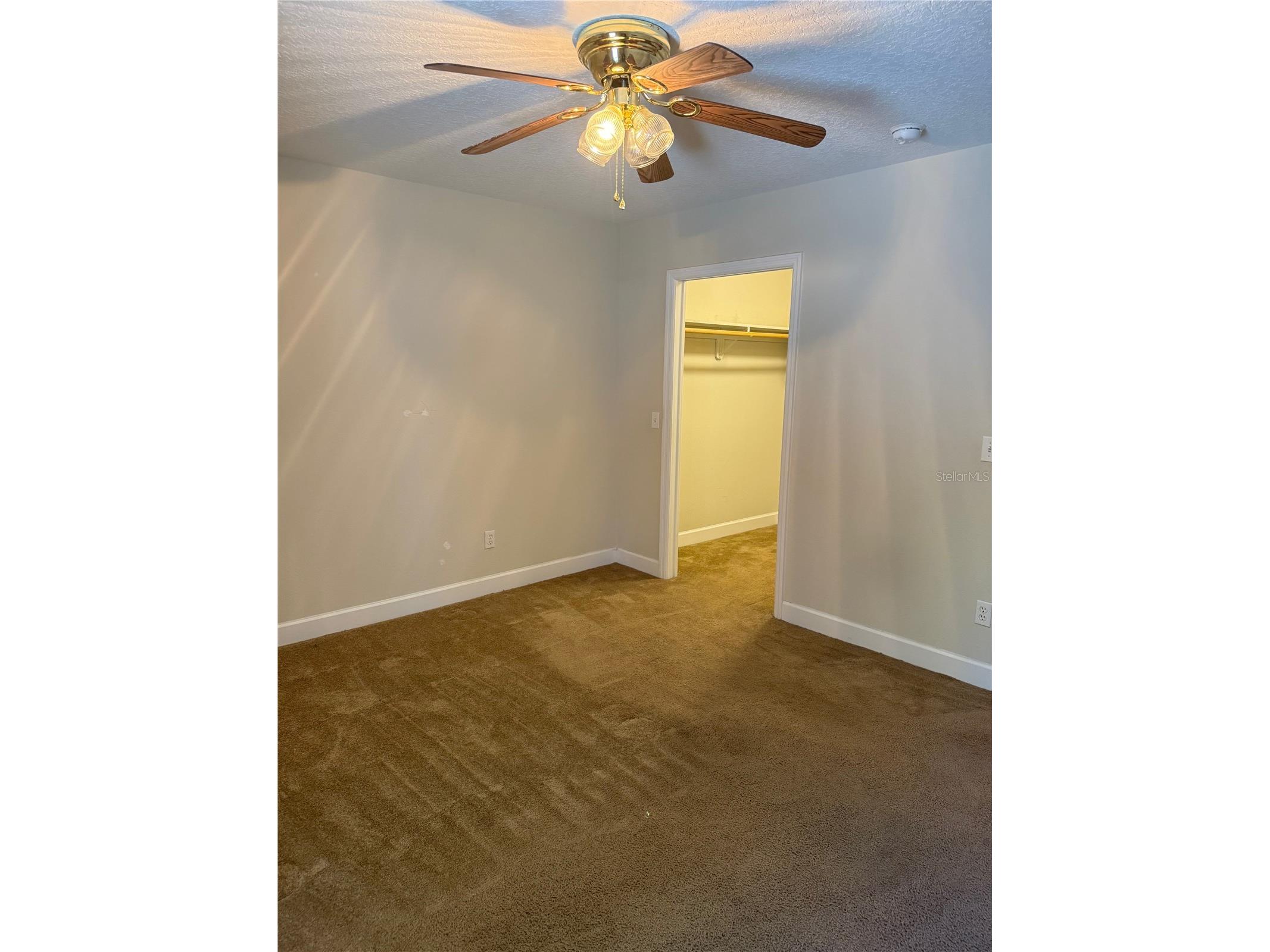 603 Royan Way Brandon FL 33511 TB8489744 image27
